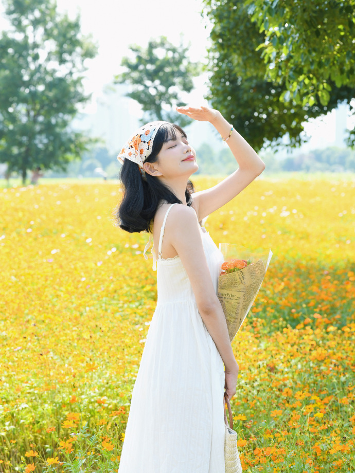 甄嬛传 封面