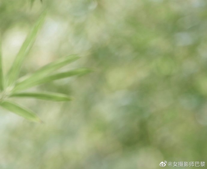亮剑 封面